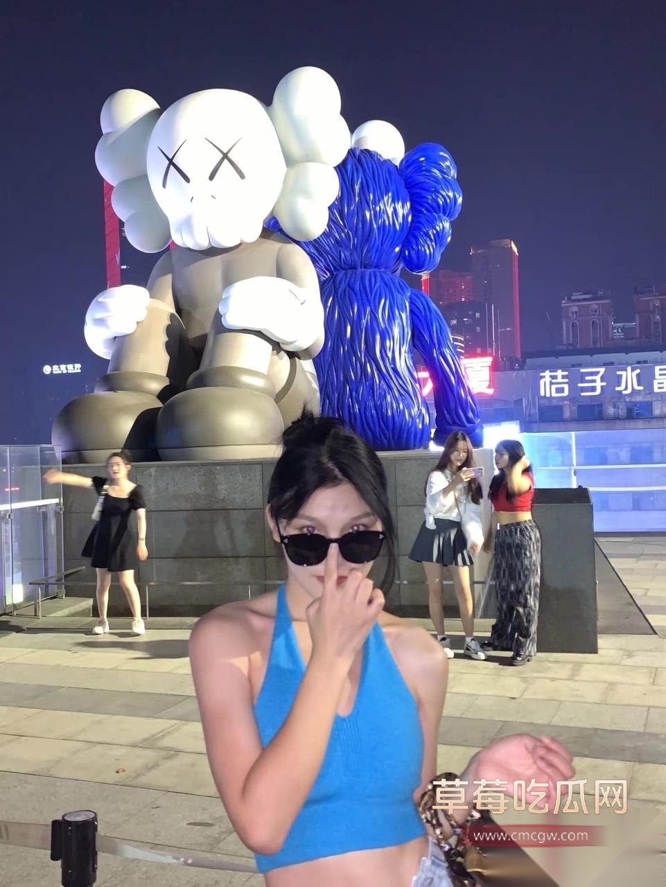 陈岚2