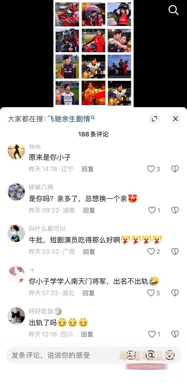 金珊31 金珊31