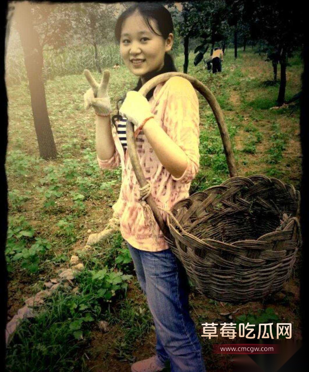 杨念群19
