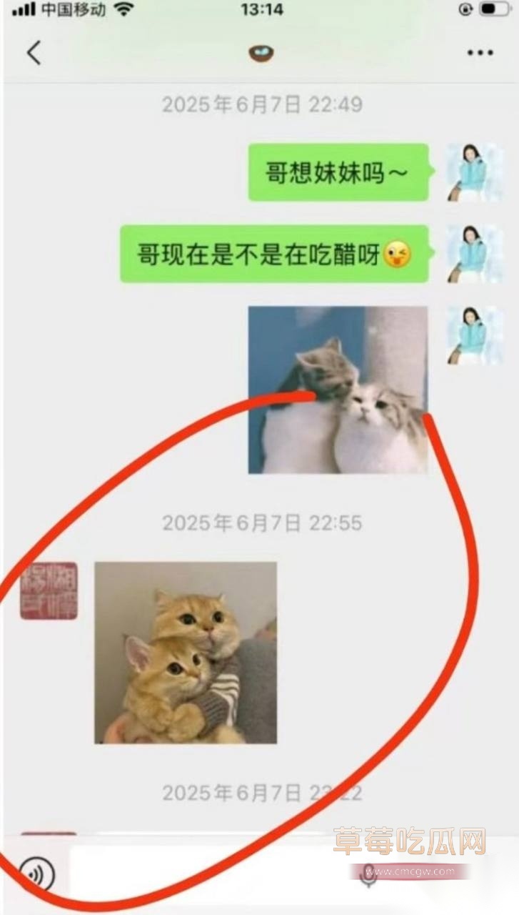 杨念群32