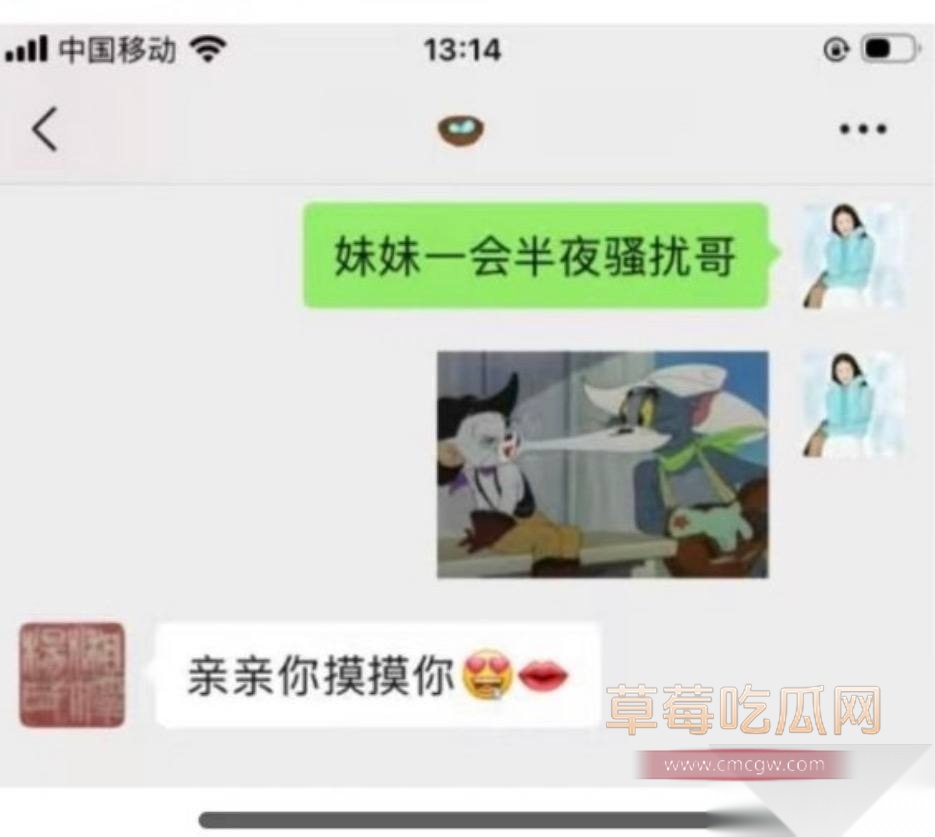 杨念群34