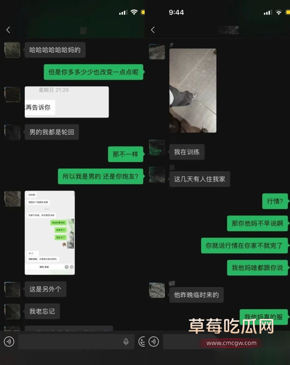 一只酸奶夕3