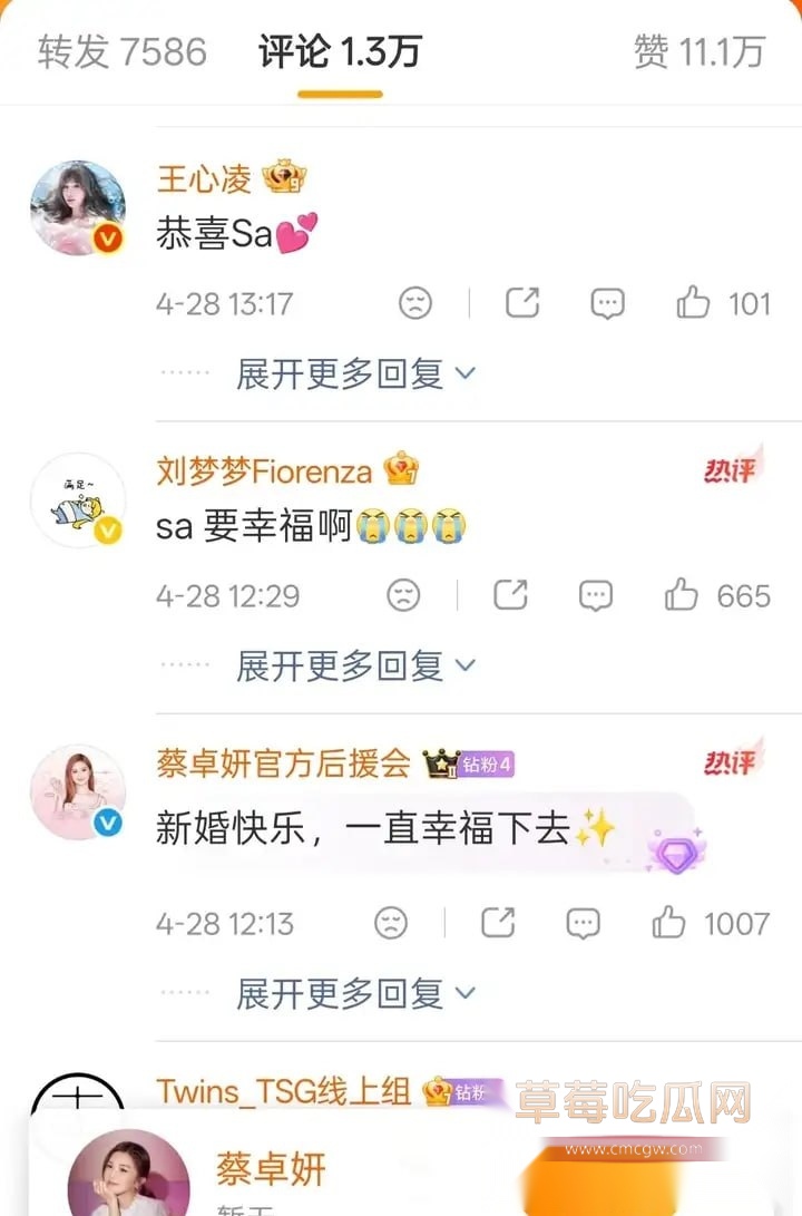 阿Sa结婚8