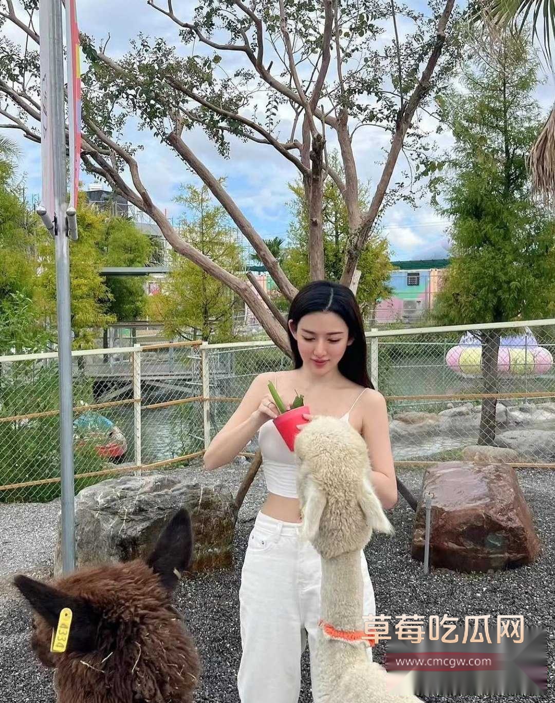 整容师3