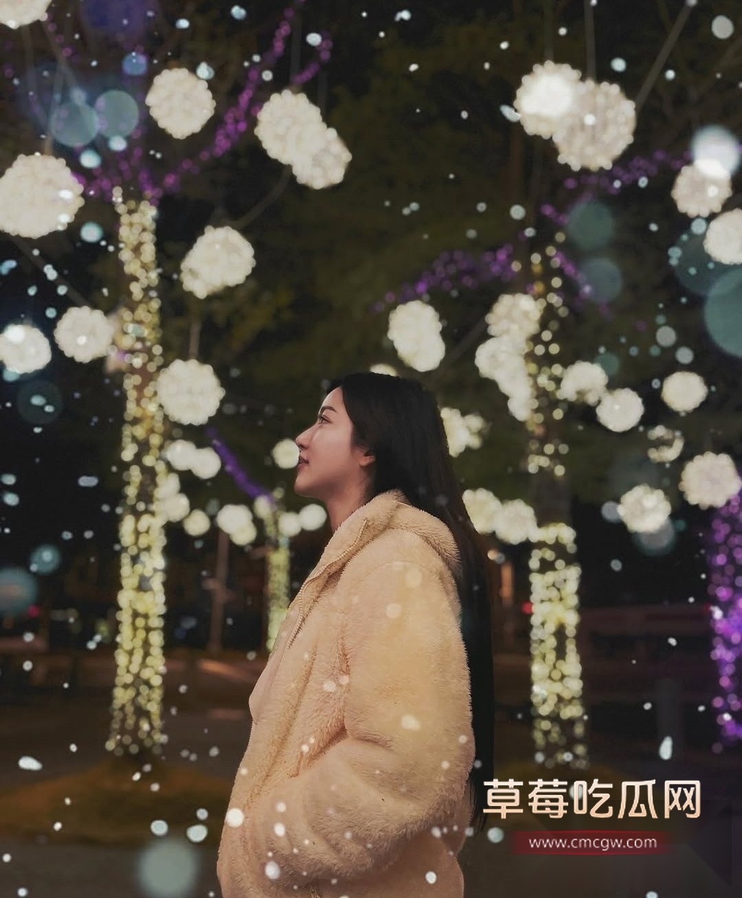 整容师12