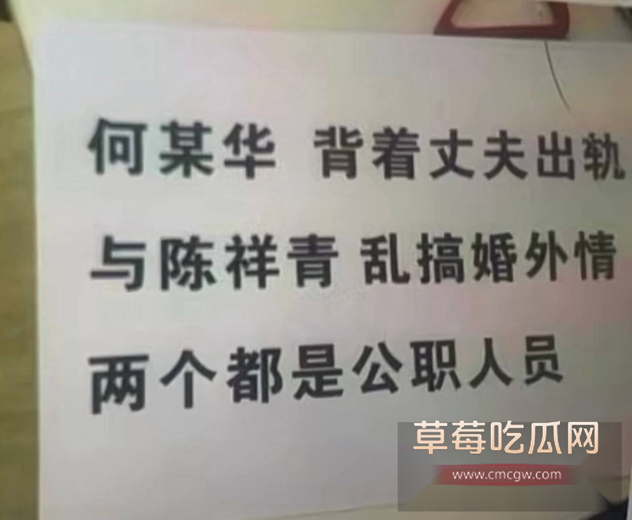 广东阳江警官陈祥青与银行行长何靖华地下情曝光3