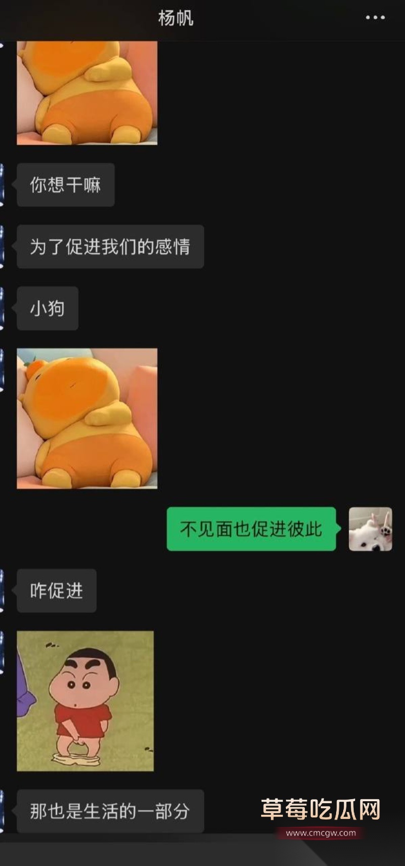 KPL职业选手帆帆 22