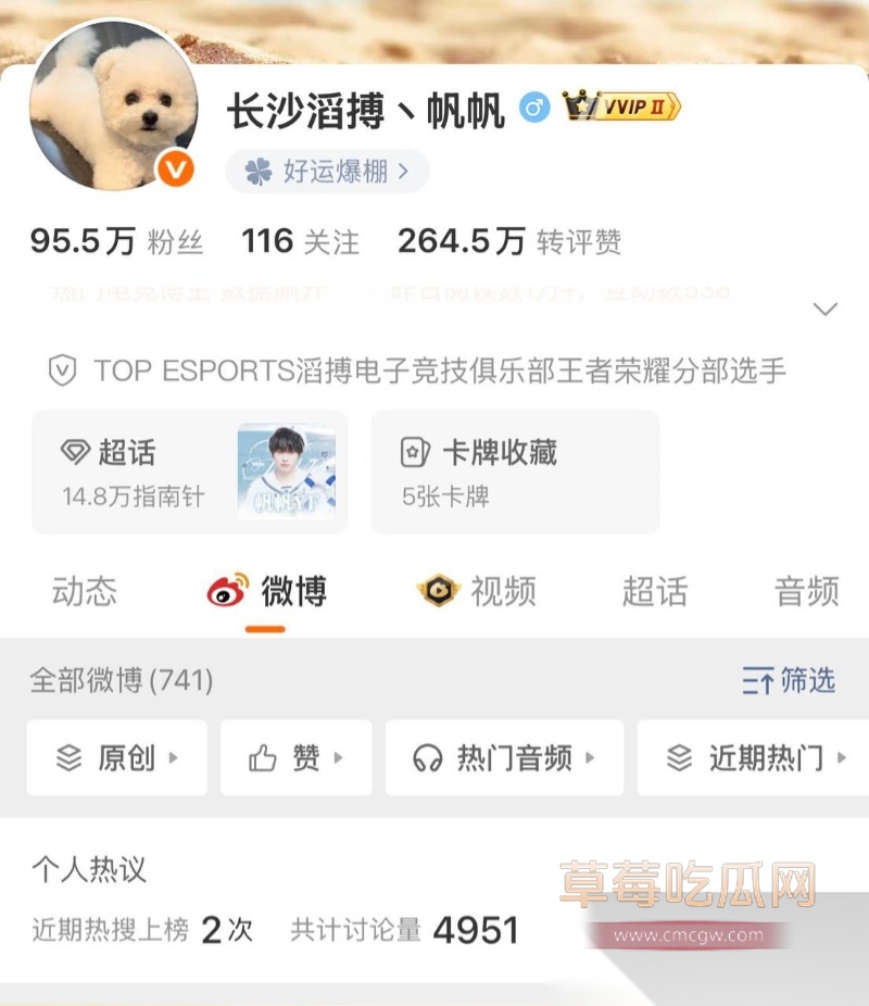 KPL职业选手帆帆 30
