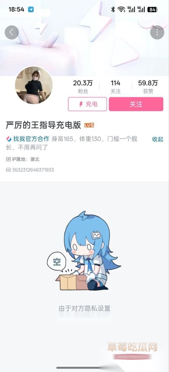 王指导8