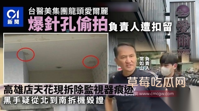 爱尔丽 9