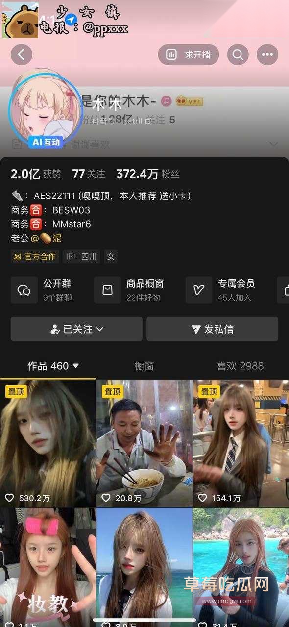 抖音高颜值网红木木2