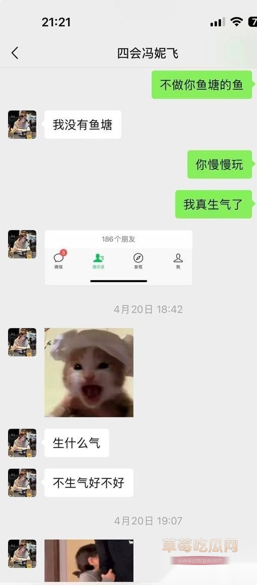 冯妮飞22