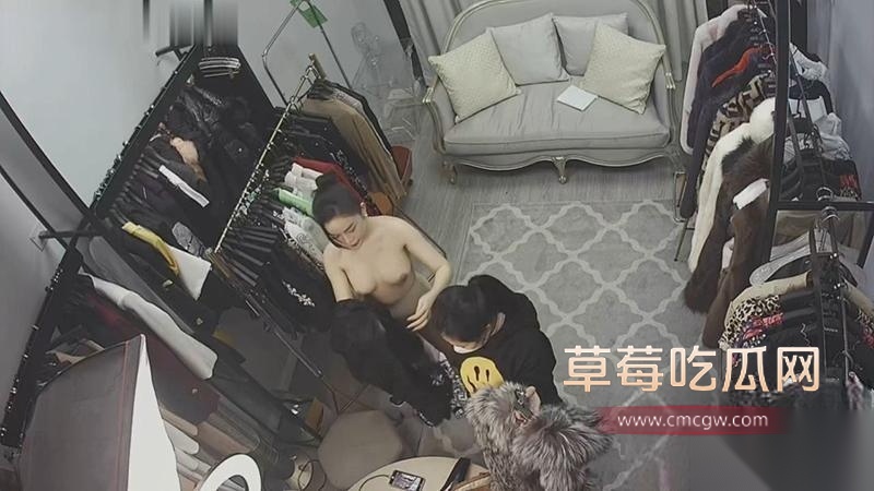 富姐3 富姐3