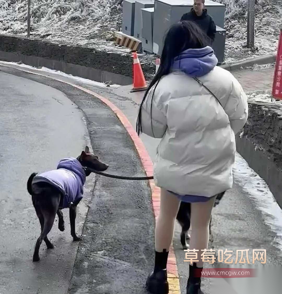 若若5 若若5
