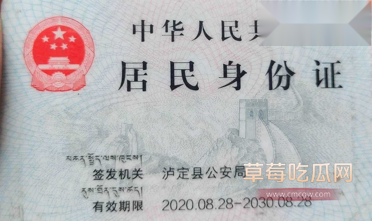 骚母猪3 骚母猪3