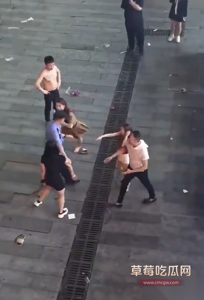 撕逼3 撕逼3