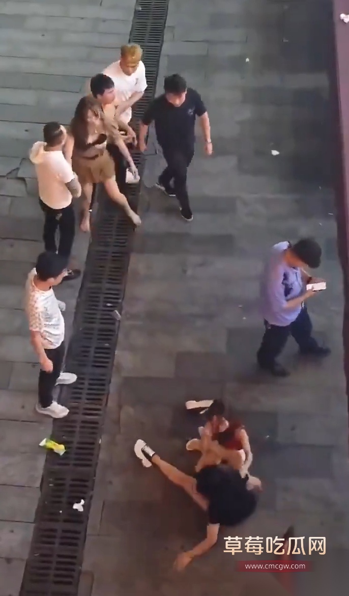 撕逼6 撕逼6