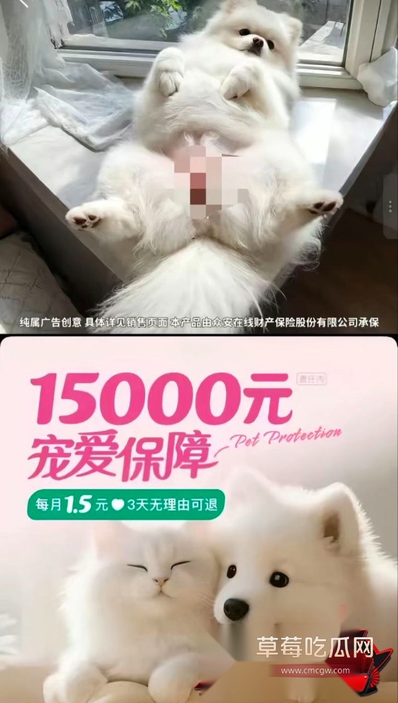 女性私密部位意外曝光 6