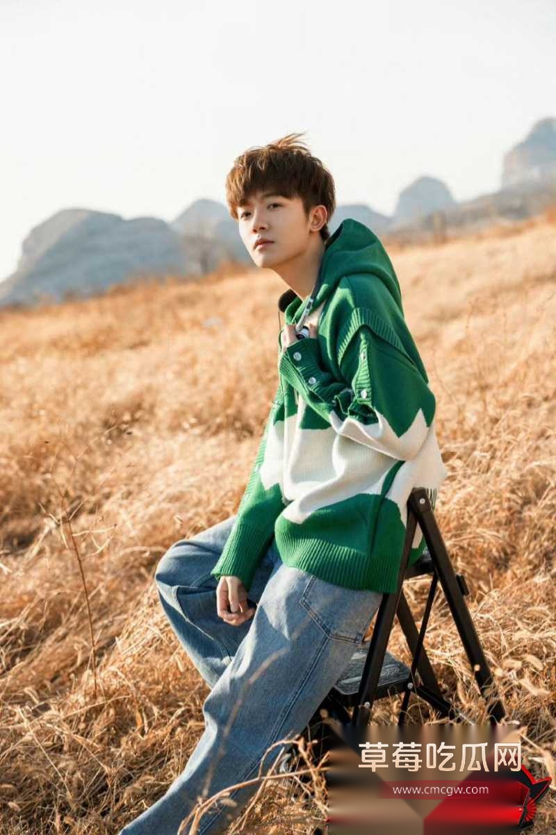 李明德认证王鹤棣精神小伙 13 李明德认证王鹤棣精神小伙 13