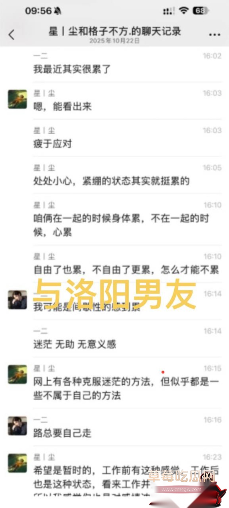 洛阳第一女海王刘亚格 51 洛阳第一女海王刘亚格 51