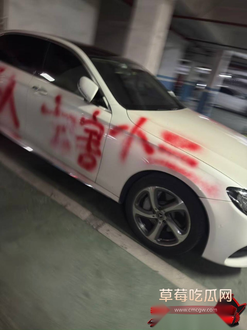 幼师陈晓薇出轨林楚涛 29