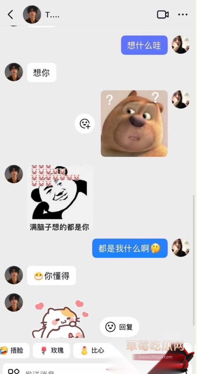 唐磊31 唐磊31