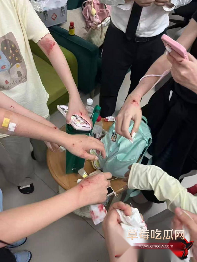张凌赫狂热女粉丝挤碎玻璃门 11 张凌赫狂热女粉丝挤碎玻璃门 11