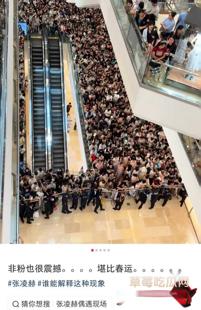 张凌赫狂热女粉丝挤碎玻璃门 15 张凌赫狂热女粉丝挤碎玻璃门 15