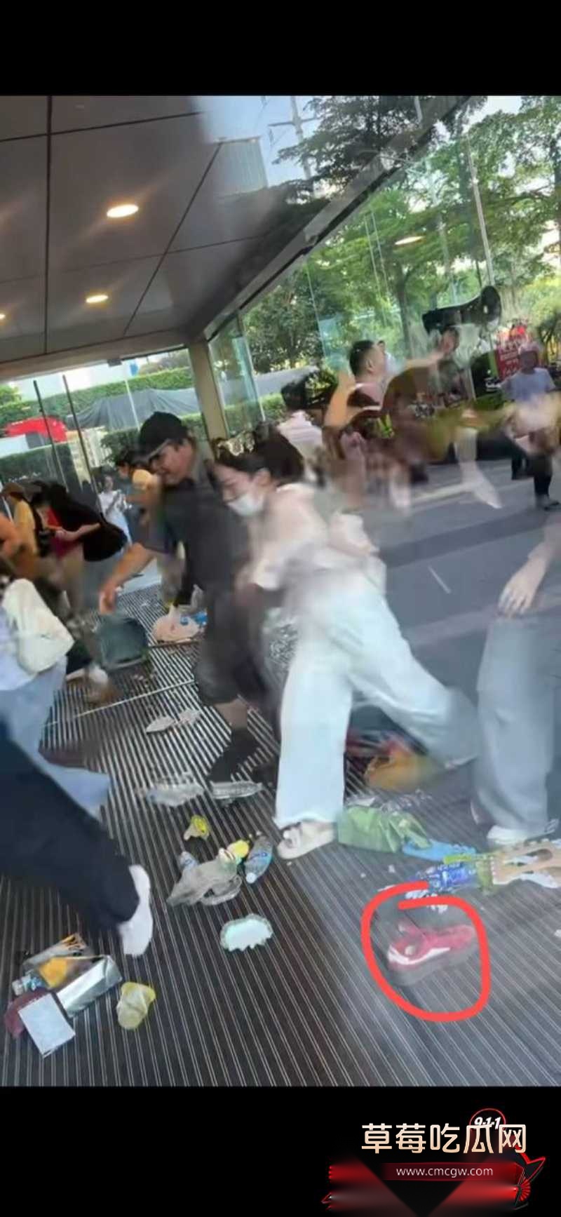 张凌赫狂热女粉丝挤碎玻璃门 16 张凌赫狂热女粉丝挤碎玻璃门 16