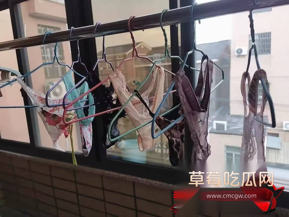 林悦13