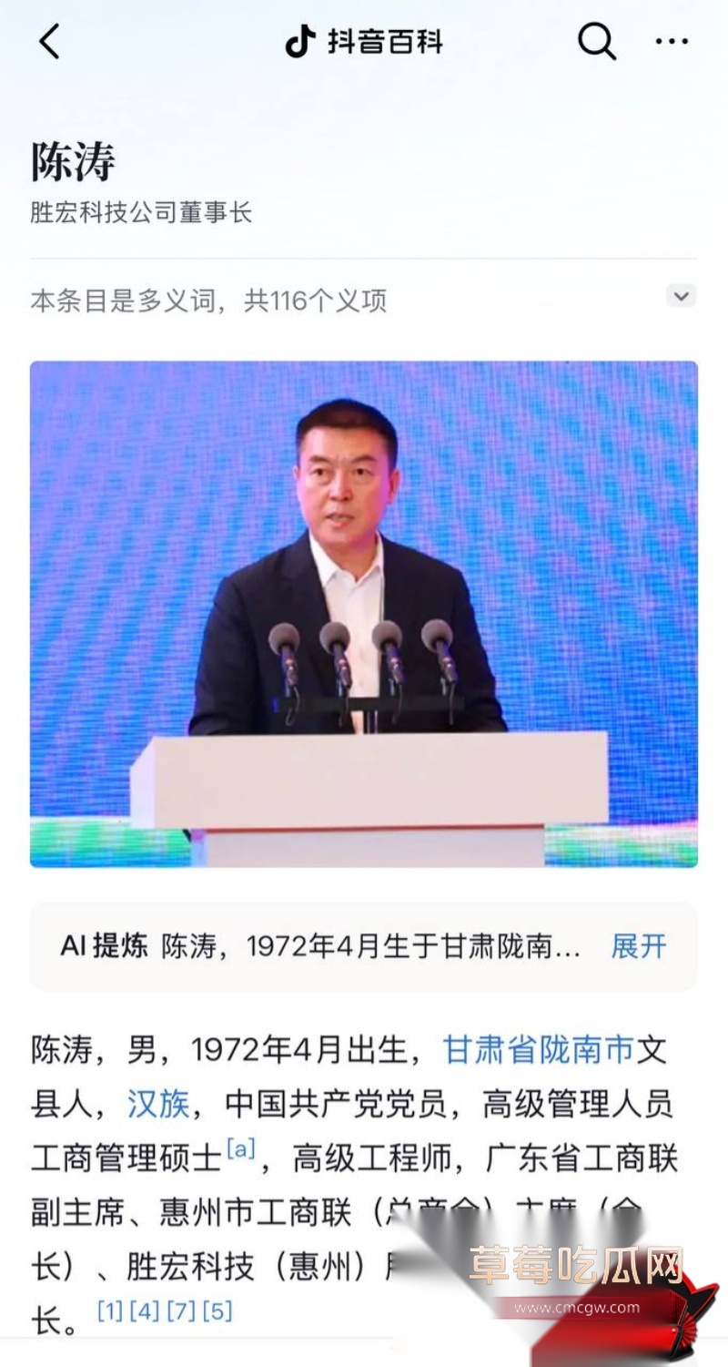 胜宏科技董事长陈涛 6