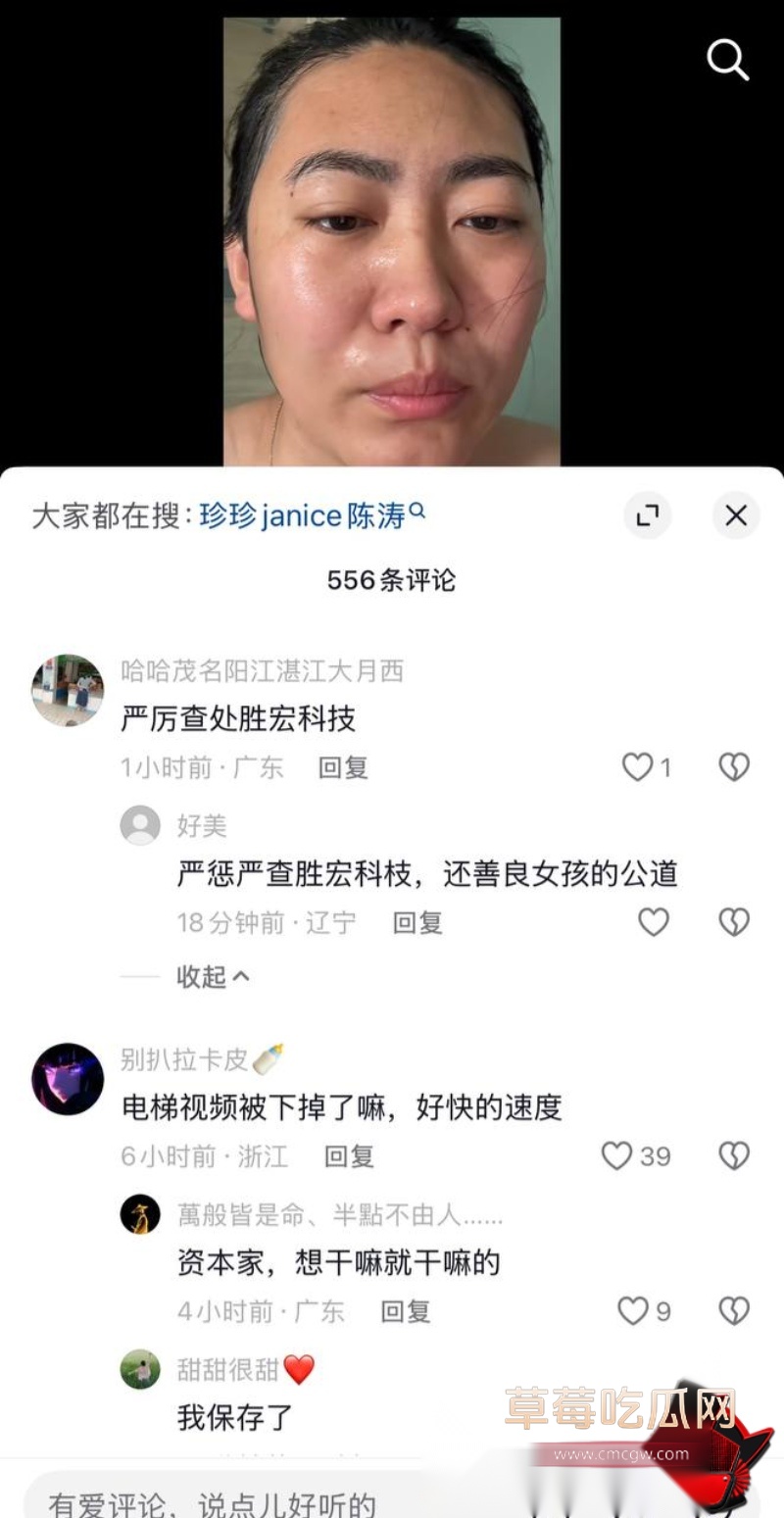 胜宏科技董事长陈涛 11