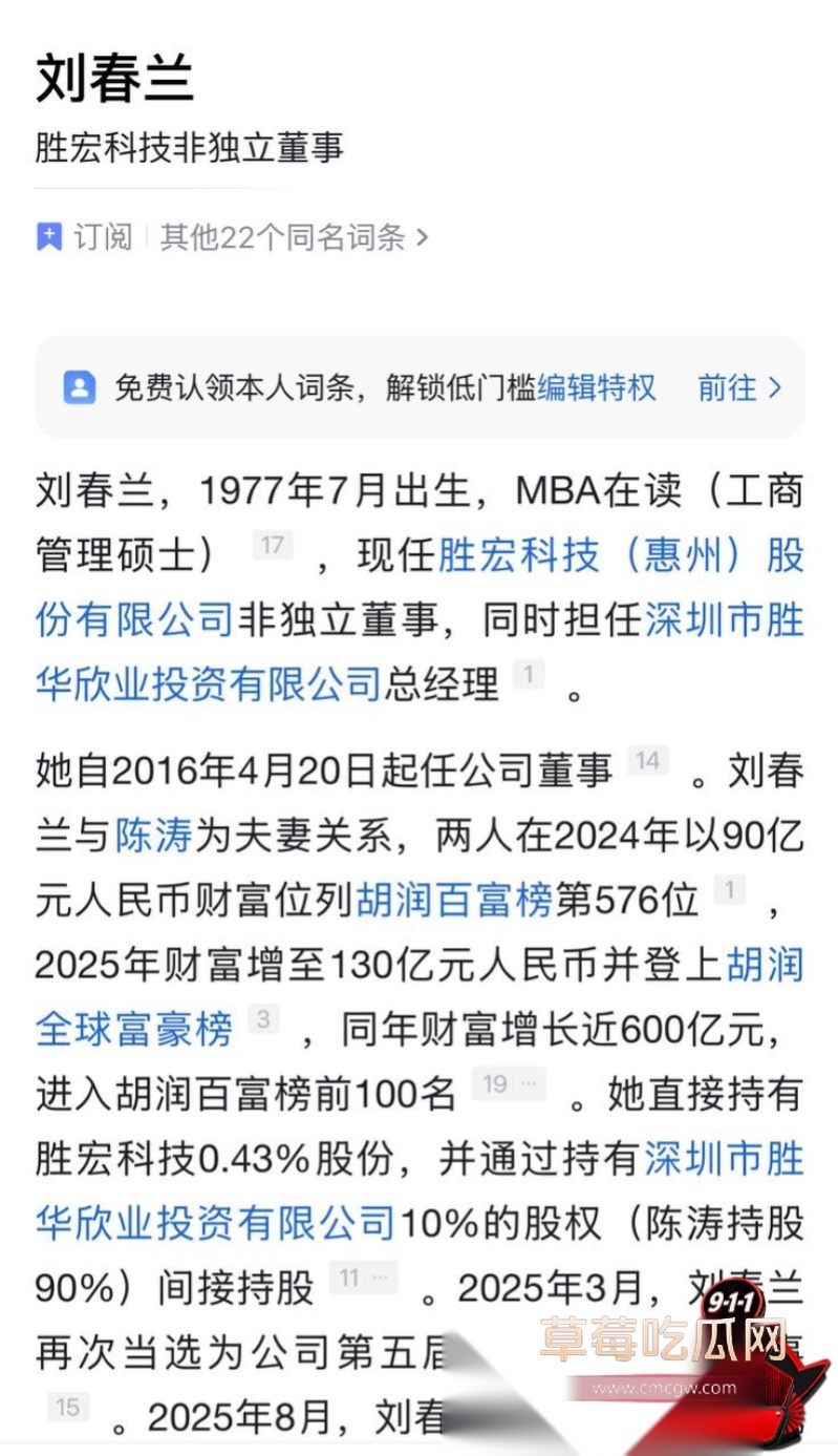 胜宏科技董事长陈涛 13