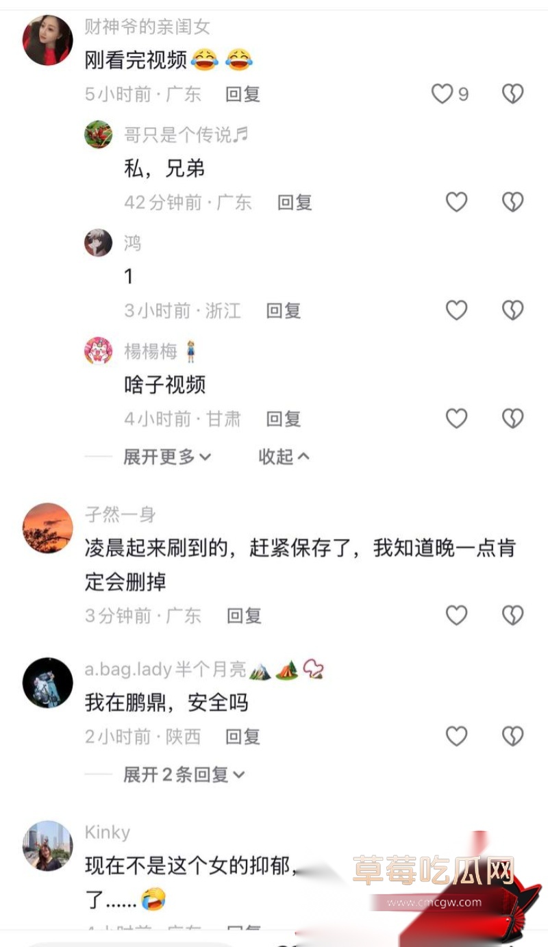 胜宏科技董事长陈涛 14