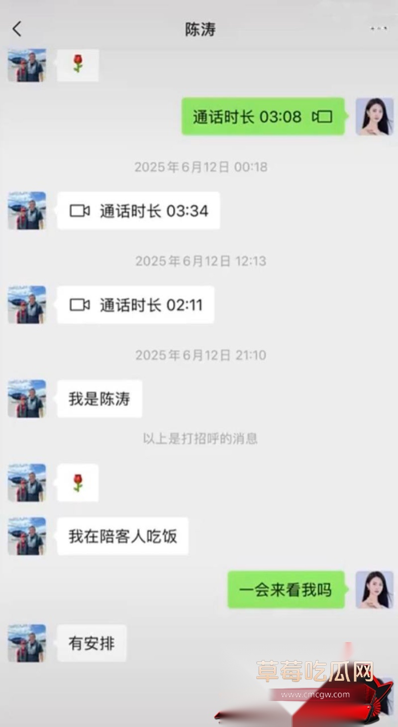 胜宏科技董事长陈涛 29