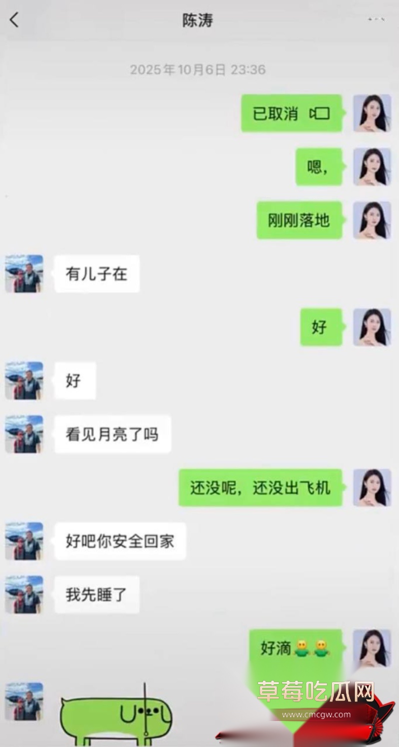 胜宏科技董事长陈涛 32