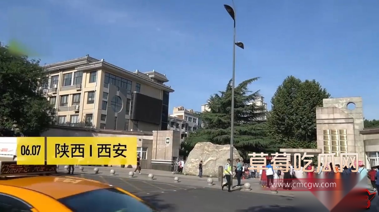 浆果儿7 浆果儿7