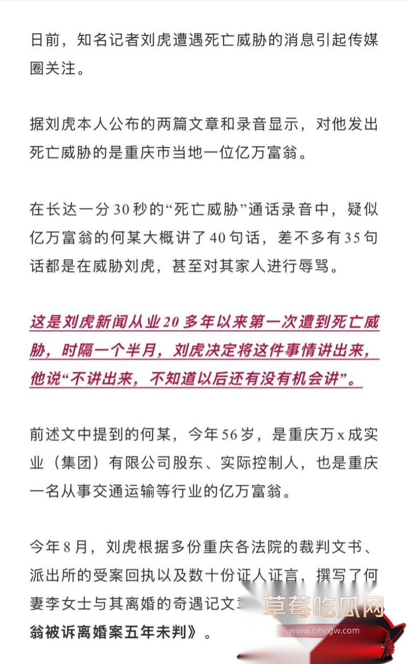 重庆检察院第五分院女检查官王维丹 11 重庆检察院第五分院女检查官王维丹 11