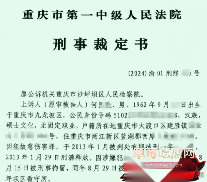 重庆检察院第五分院女检查官王维丹 19 重庆检察院第五分院女检查官王维丹 19