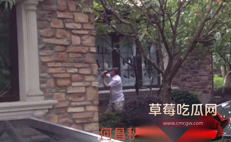 重庆检察院第五分院女检查官王维丹 21 重庆检察院第五分院女检查官王维丹 21