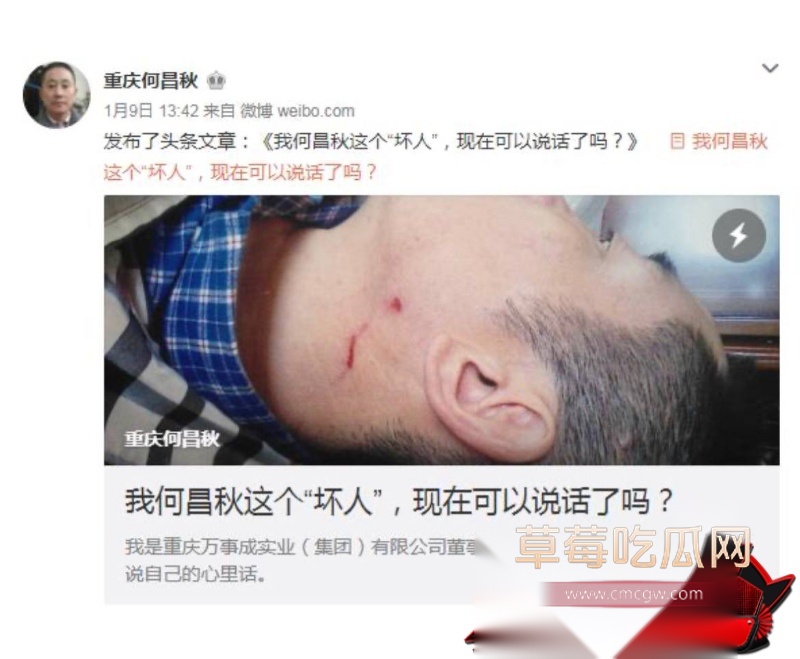 重庆检察院第五分院女检查官王维丹 39 重庆检察院第五分院女检查官王维丹 39
