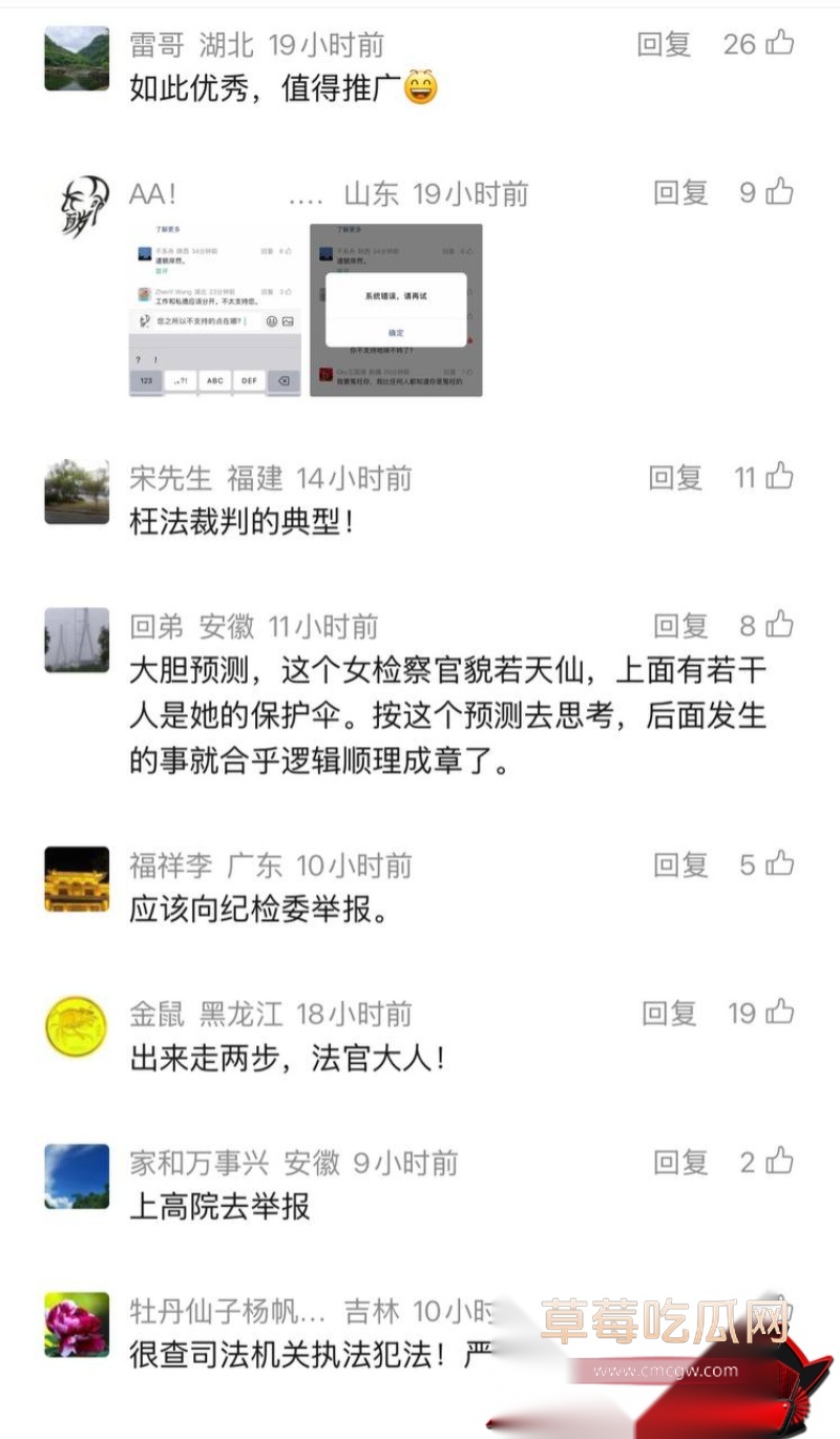重庆检察院第五分院女检查官王维丹 46 重庆检察院第五分院女检查官王维丹 46