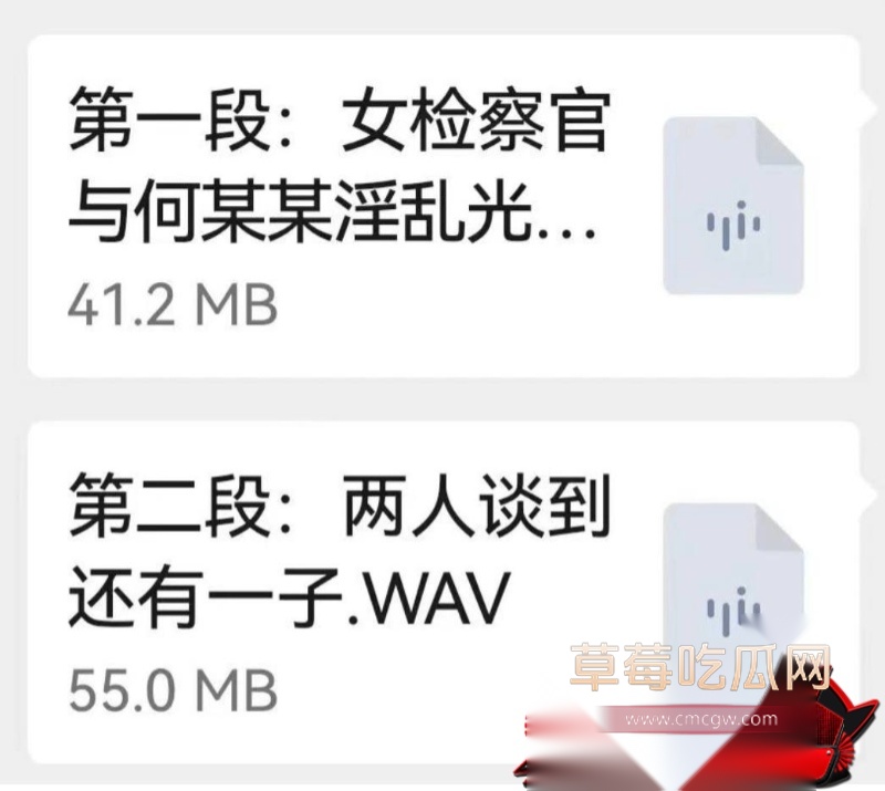 重庆检察院第五分院女检查官王维丹 53 重庆检察院第五分院女检查官王维丹 53