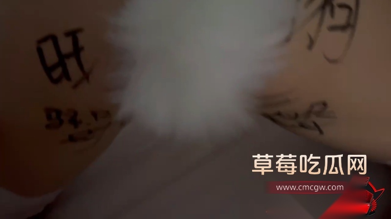 四川师范大学 刘裙 13