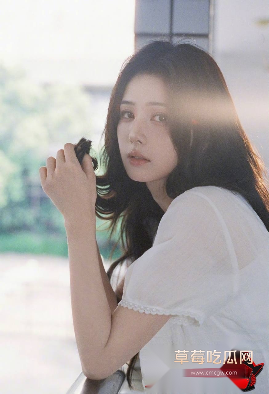 白鹭49 白鹭49