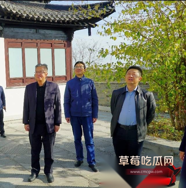 白鹭58 白鹭58