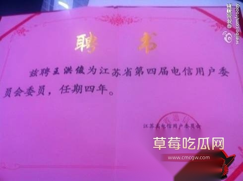 白鹭31 白鹭31