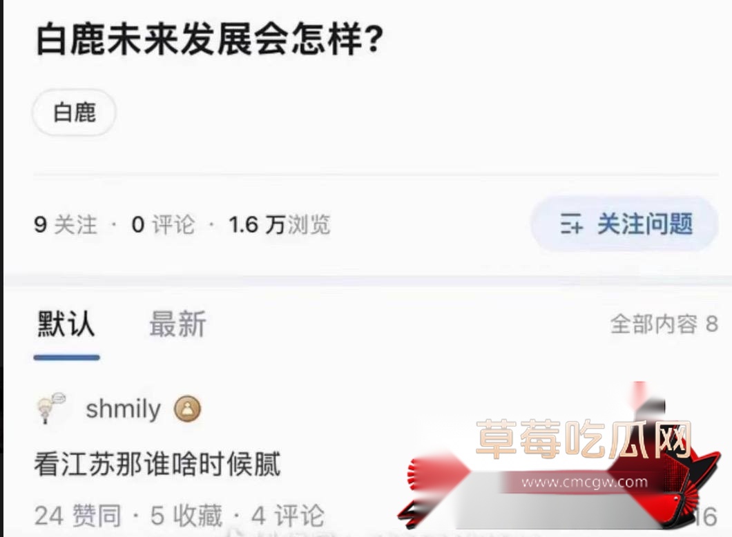 白鹭40 白鹭40