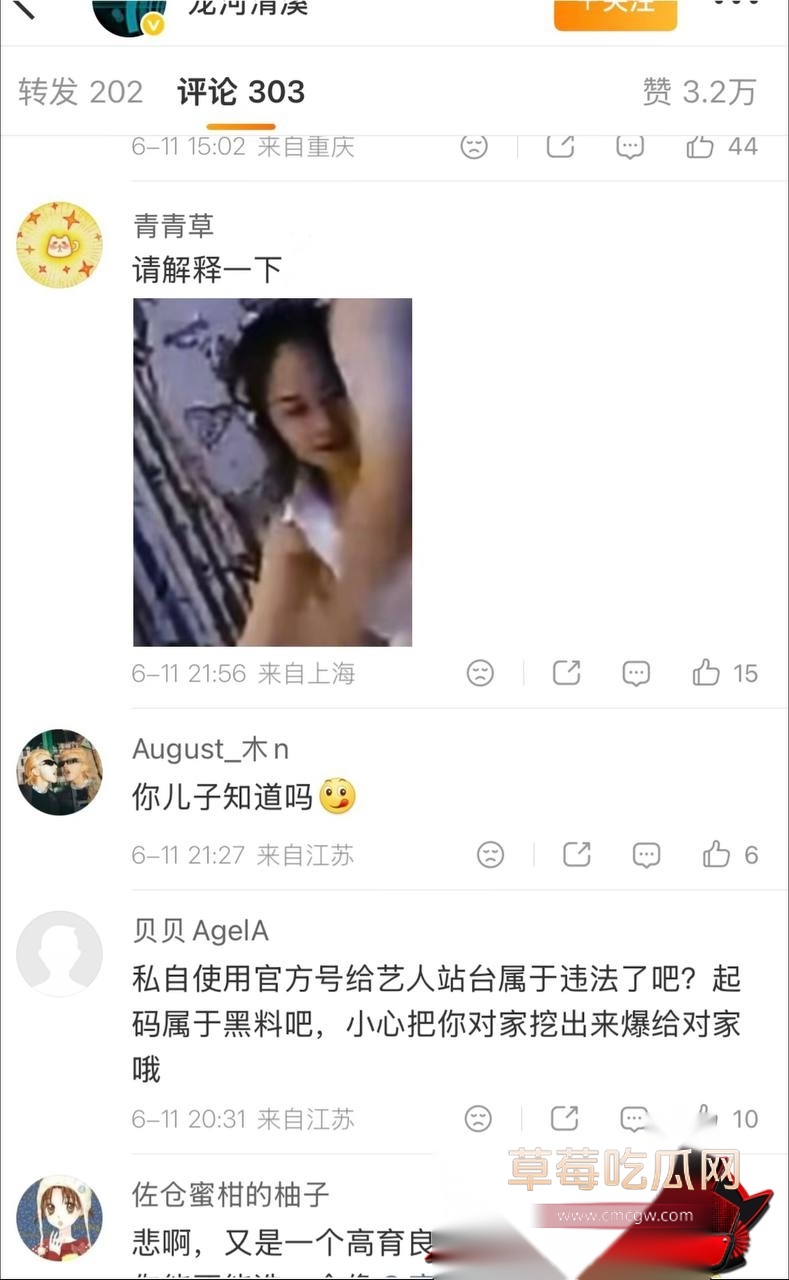 白鹭63 白鹭63