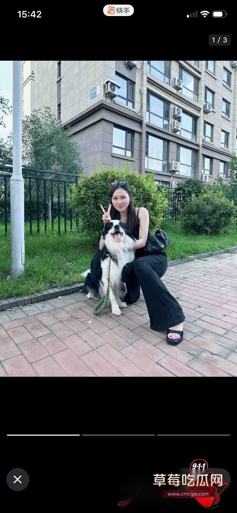 渣渣玉6